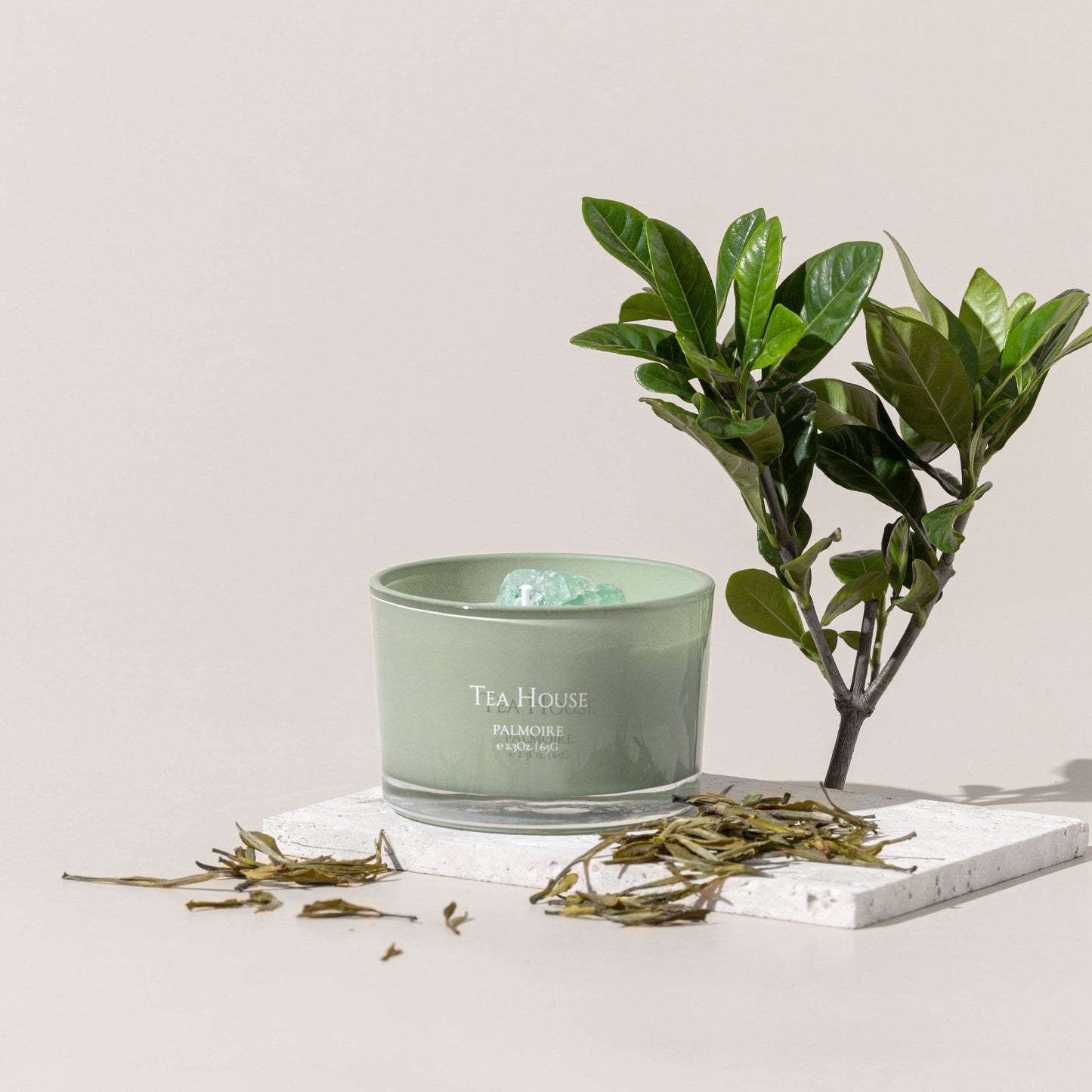 Tea House Soy Wax Candle [tea/jasmine/lemon]: Standard 4.9 oz/ 140 g